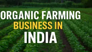 How to start organic farming business in India - Complete Guide